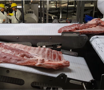 Rib Line